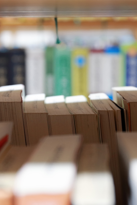 크리에이티브 인문학부